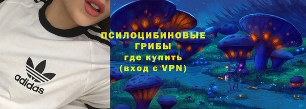прущие крисы Пестово