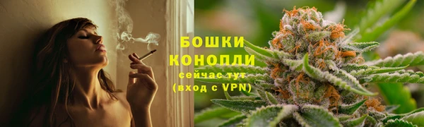 spice Абинск