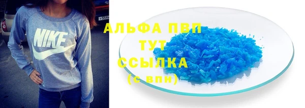 ECSTASY Пересвет