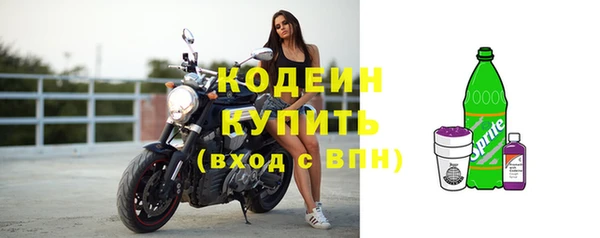 ECSTASY Пересвет